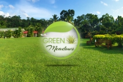 Green-Meadows-(cover-photo)